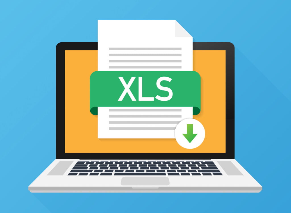 What is xls file?