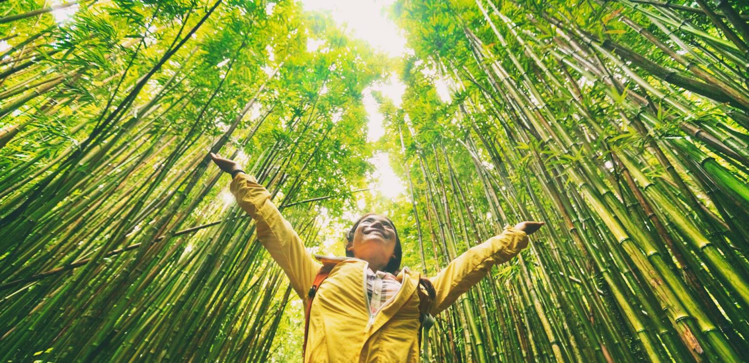 Remote Work Can Reshape Sustainability Goals Traqq Blog