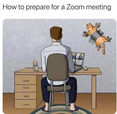 Work from home memes “How to prepare for a Zoom meeting” showing a man with a cat duct-taped to the wall, highlighting virtual meetings, remote work, distractions, and home memes.