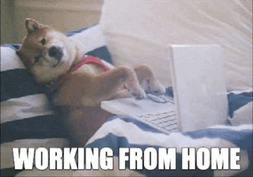 Work from home meme “working from home”, highlighting home memes, remote work, pet-friendly work life balance, and work from home humor.