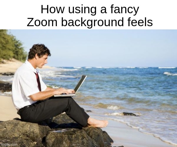 Fancy Zoom background meme: man on a rock with a virtual beach backdrop, highlighting remote work illusions.