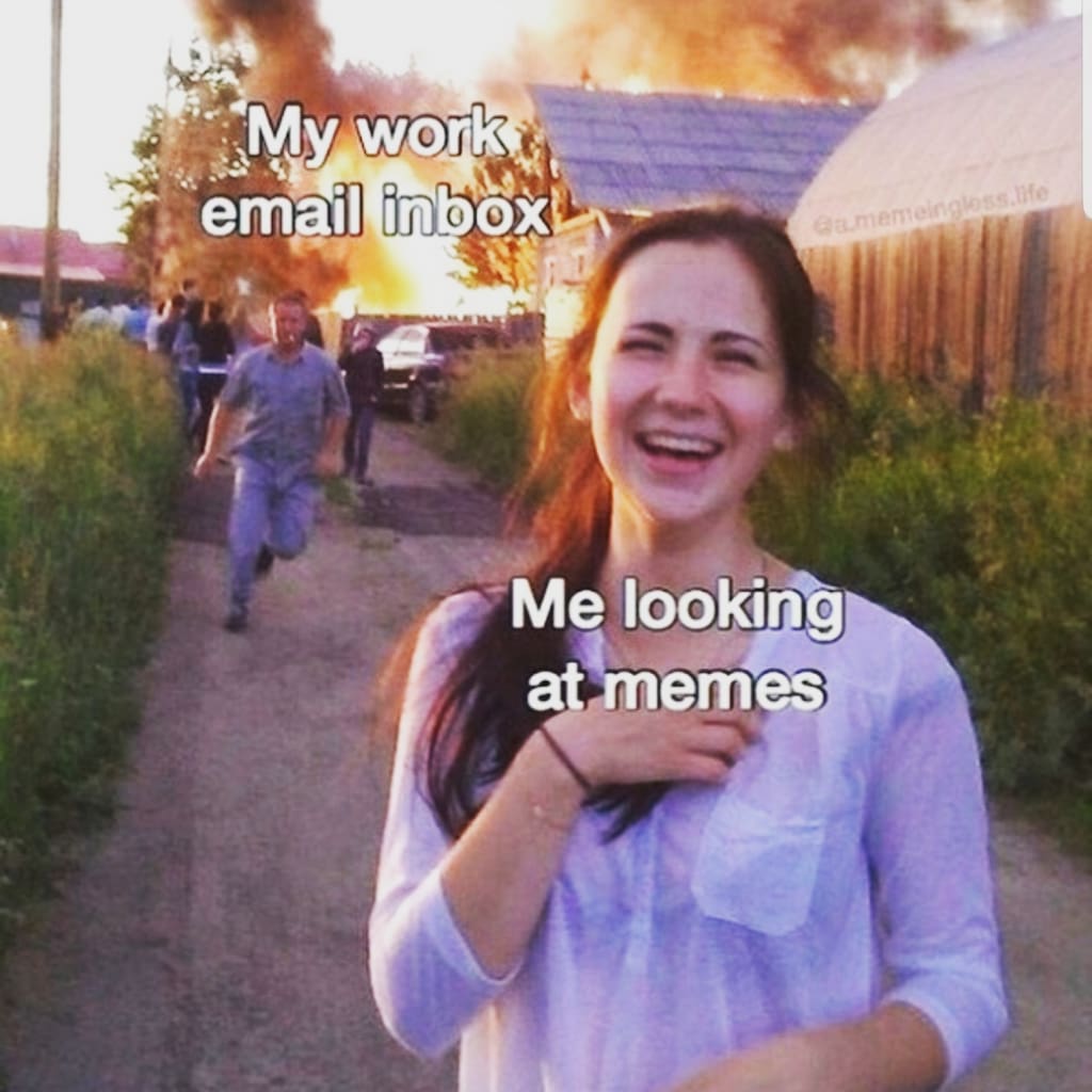 Work from home memes that capture the human experience to the point of building a connection between us.